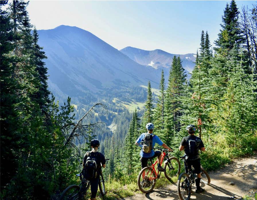 People mountain biking on a forest trail